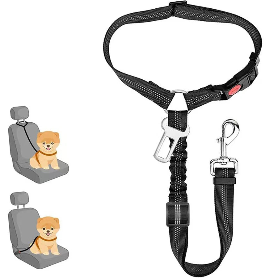 Cinturón-correa de seguridad para mascotas 🐶🐾🚗