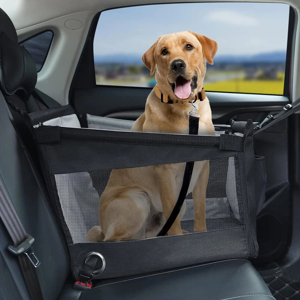 Asiento para Mascotas 🐶🚗