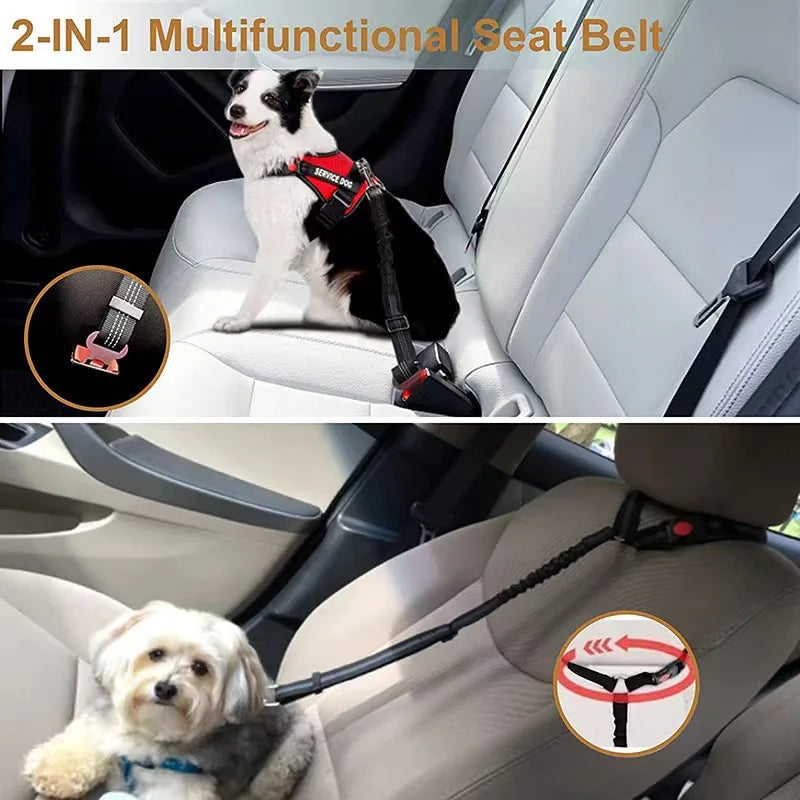 Cinturón-correa de seguridad para mascotas 🐶🐾🚗