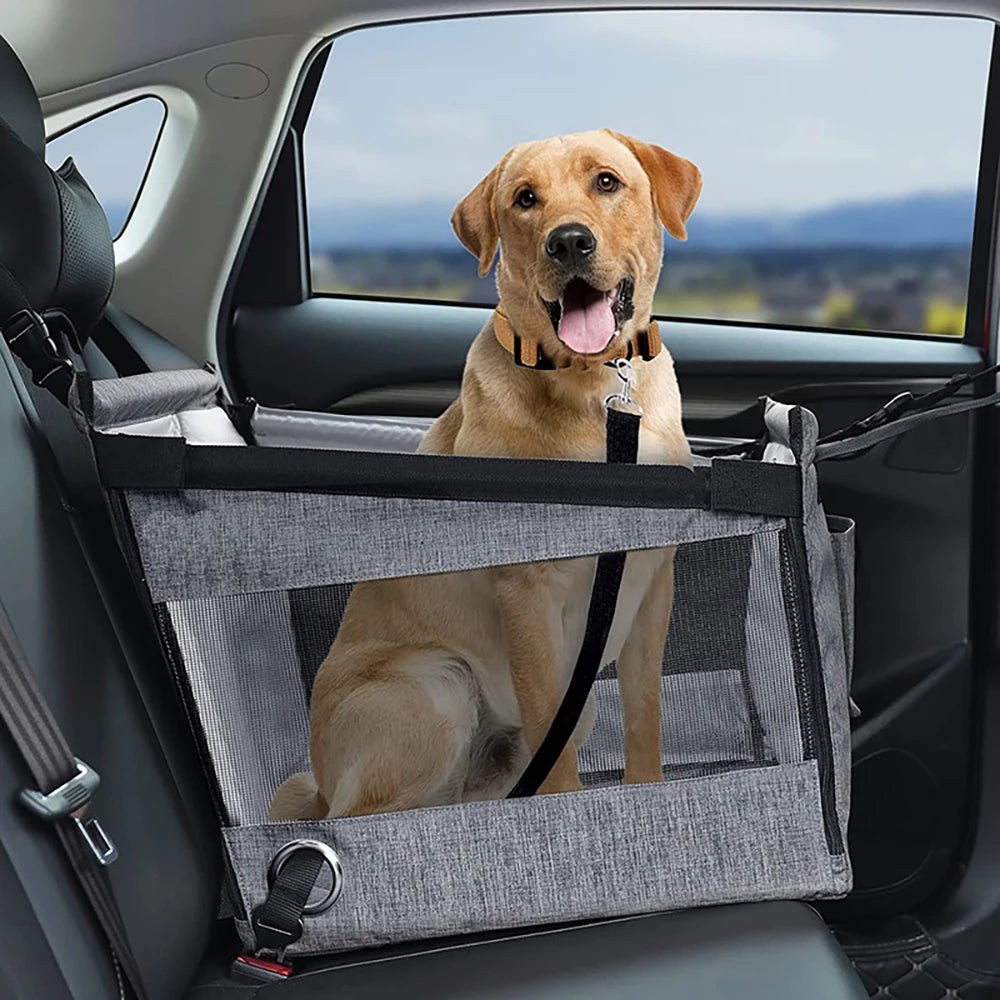 Asiento para Mascotas 🐶🚗