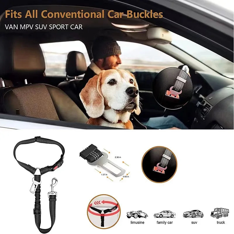 Cinturón-correa de seguridad para mascotas 🐶🐾🚗