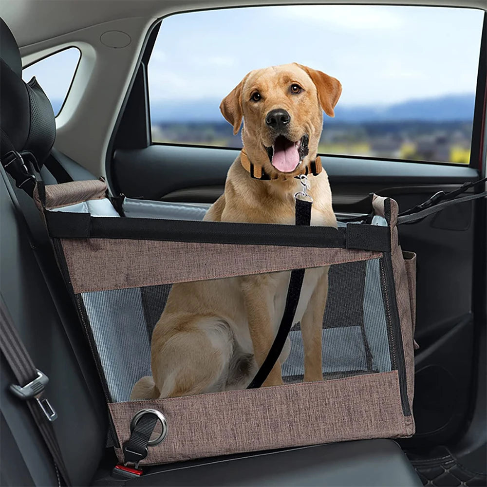 Asiento para Mascotas 🐶🚗