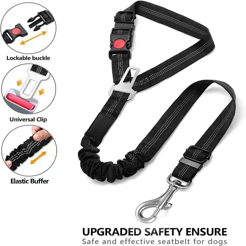 Cinturón-correa de seguridad para mascotas 🐶🐾🚗