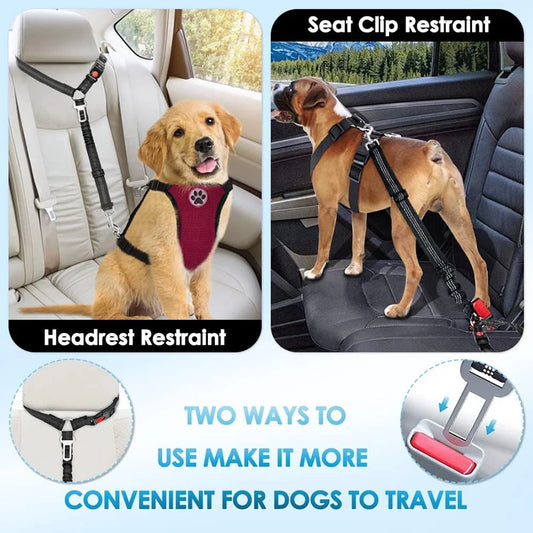 Cinturón-correa de seguridad para mascotas 🐶🐾🚗